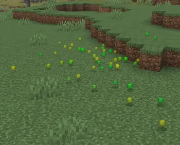 Xp orbs in pile