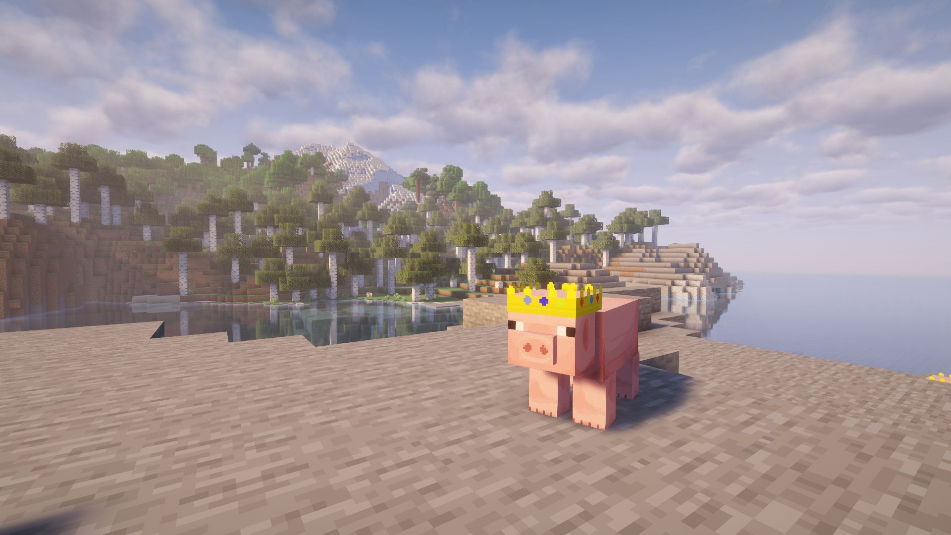 The texture pack
