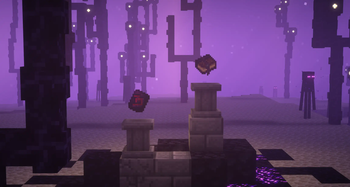 Void Items Display