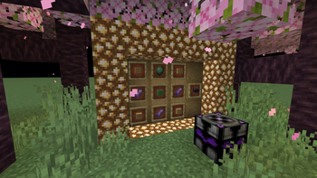 The Dimension Portal Block