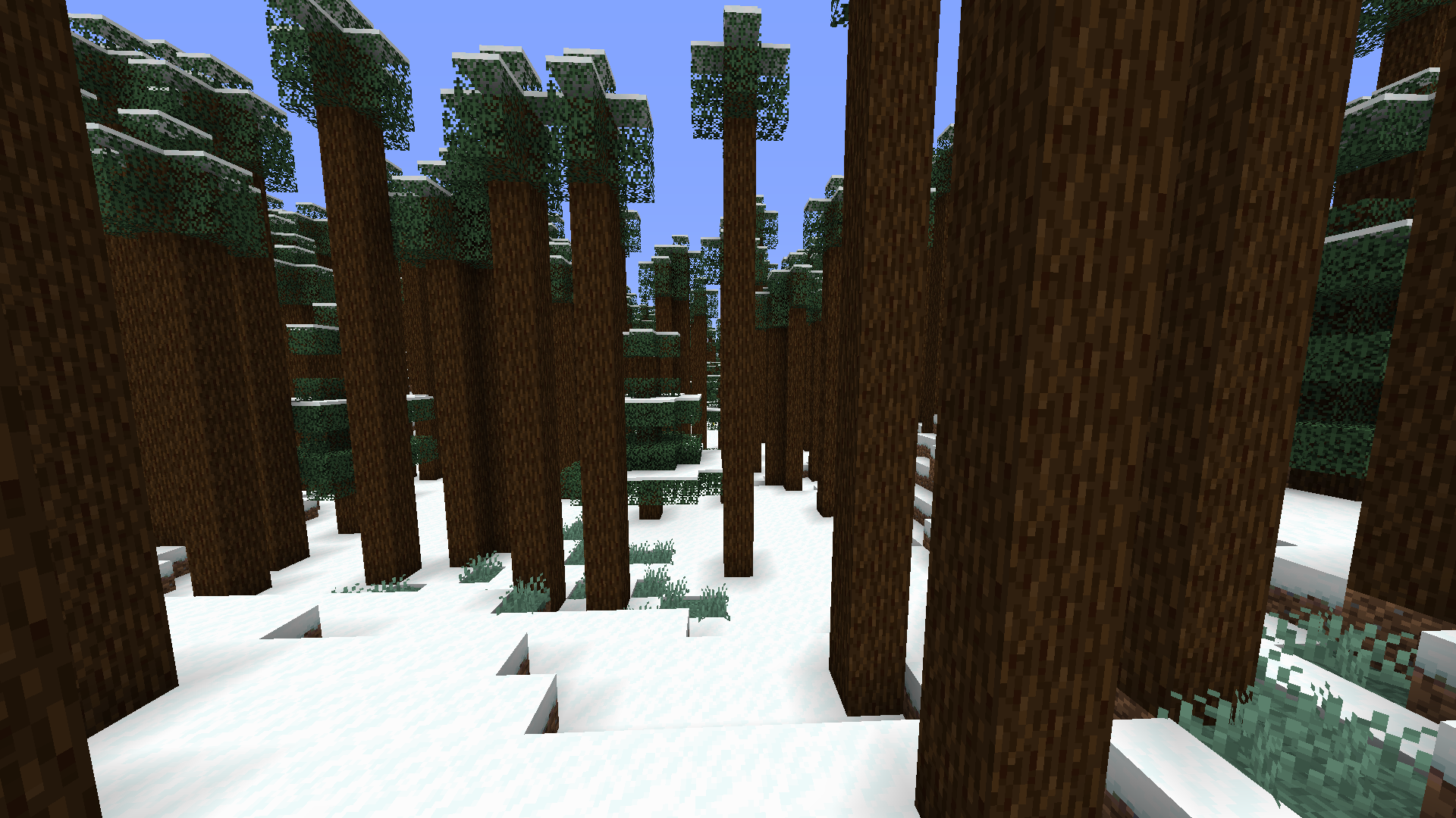 Dense Taiga Forest