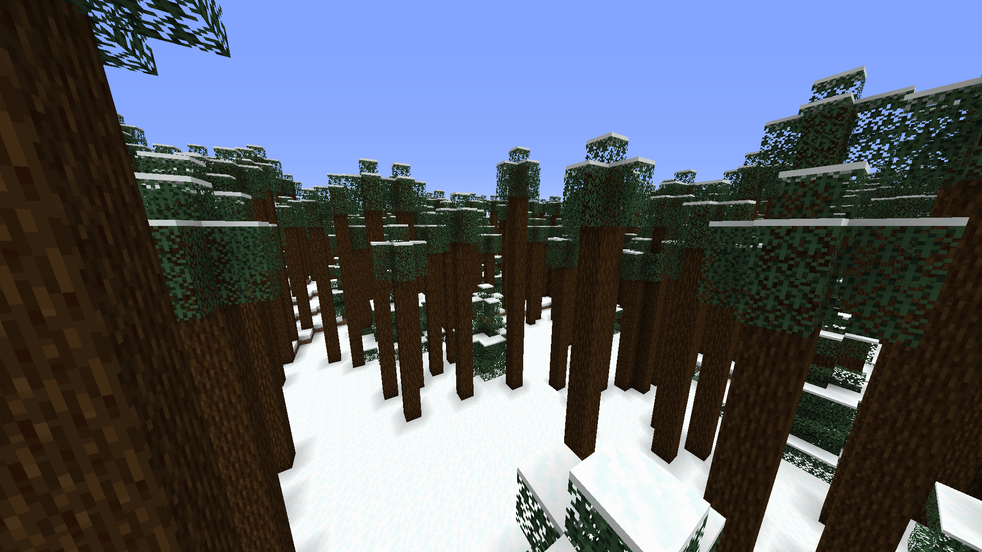 Dense Taiga Forest