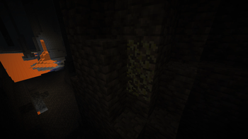 New Glow Lichen