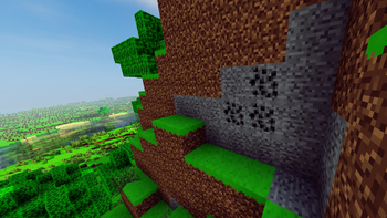 Coal