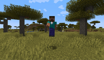 Vision Resonate Animation Screenshot