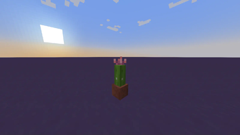 Angled Cactus