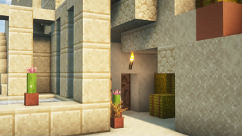 Cacti by the Door