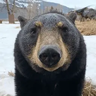 h_pup