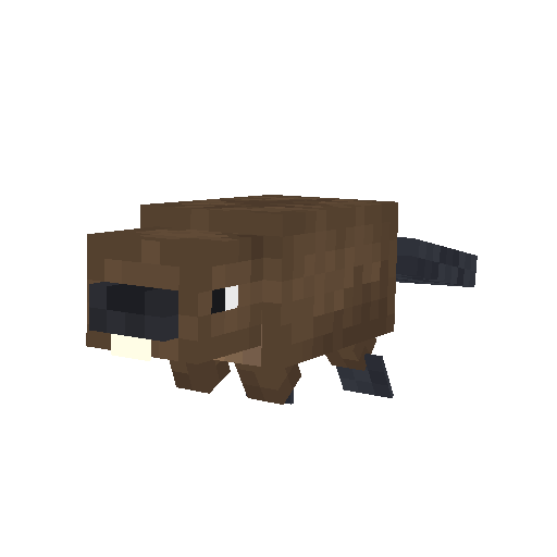 Beaver