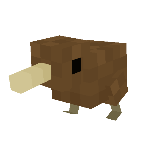 Kiwi Bird
