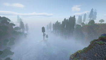 Redwoodforest