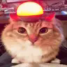Alert the netherite starts it's engine