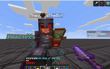 Lunge-Elytra
