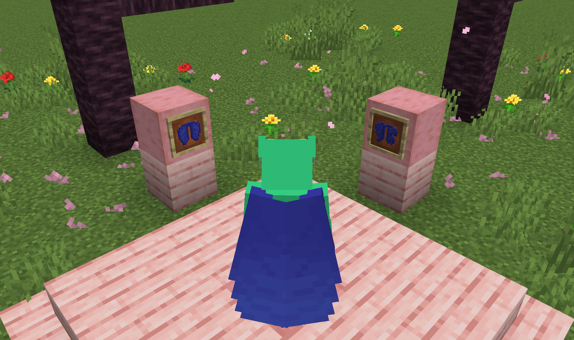 Screenshot demonstrating Resource Pack