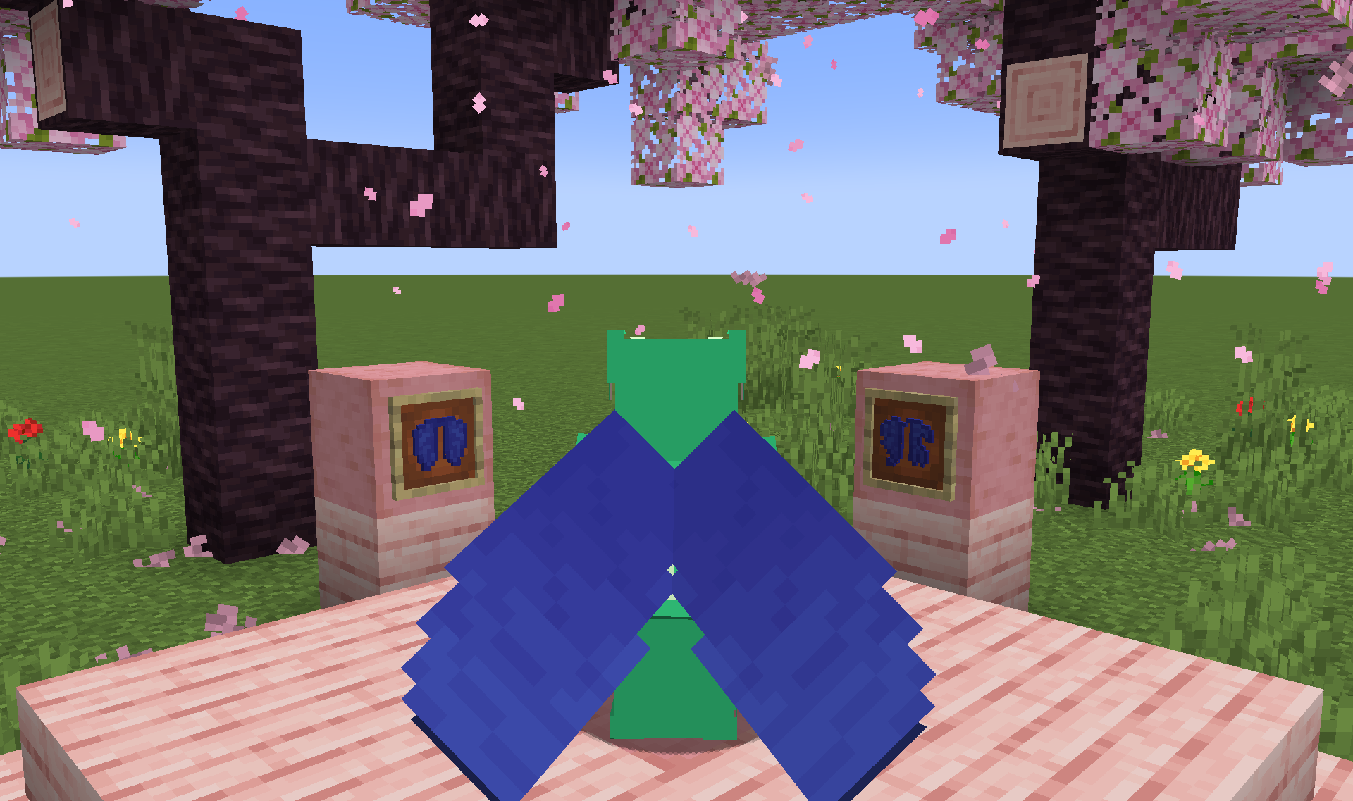 Screenshot demonstrating Resource Pack