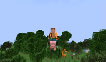 Fashionable to Ride Pigs!