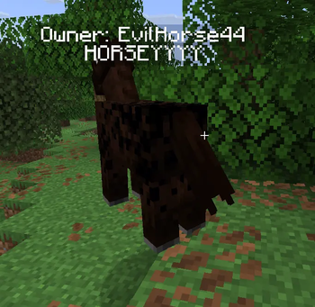 Mob with nametag and Mod enabled