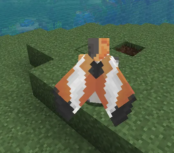 Calico Cat Elytra