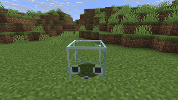 Glass (Sulfur) Cube