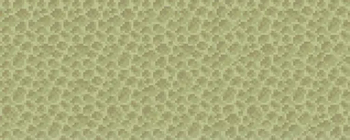 End Stone