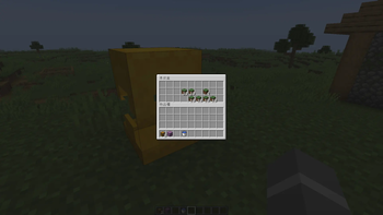 Items in Container