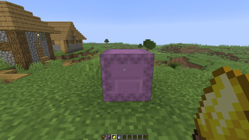 Coloring ShulkerBox