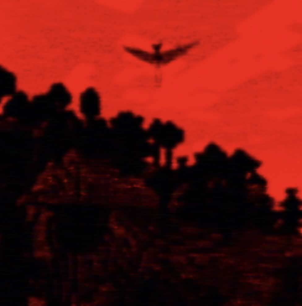 From The Skies