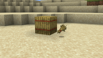 Hay and Wheat
