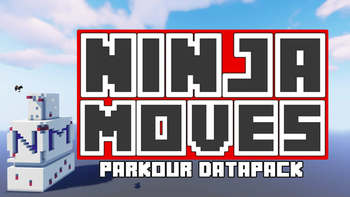 Ninja Moves Cover