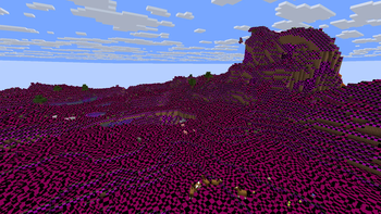 Plains Biome