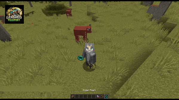 Leashed Teleport - Enderpearl