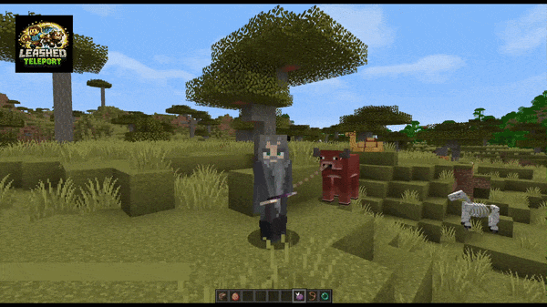 Leashed Teleport - Chorus Fruit