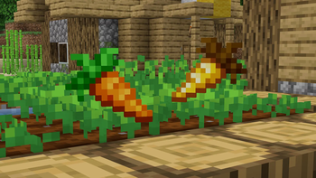 Carrots