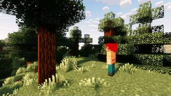Overworld
