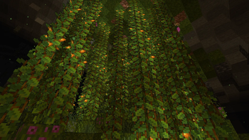 Beautiful lush cave