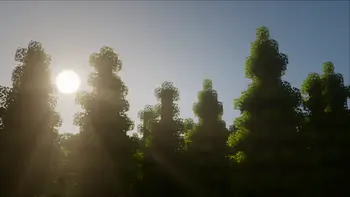 Jungle