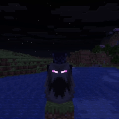 Elytra
