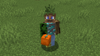 Orange Shulker - Diamond Sword