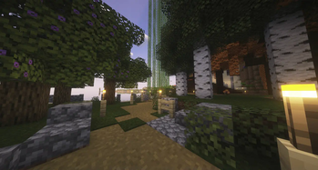 Birch Forest Path