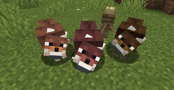 Rusty Variations