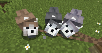 Ashen Variations