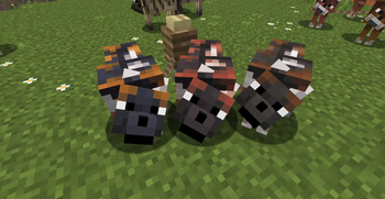 Spotted Variations