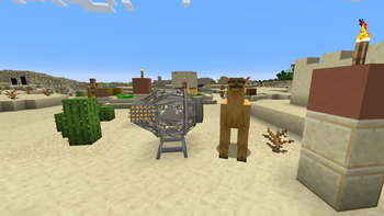 What is the camel planning?
