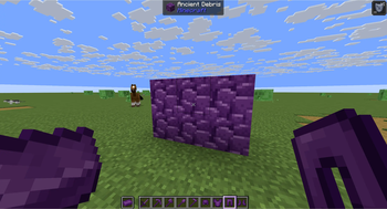 Purple tools and armor