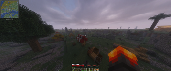 world generation + minimap mods