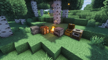 Immersive interactions!