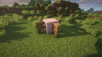 Cheese Block