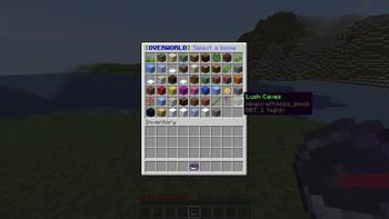 Biome Compass GUI