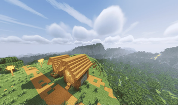 Village