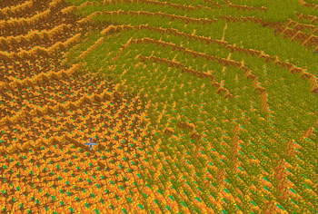 Hyper-Wak Biome Blend